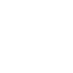 Logo Connexp - símbolo